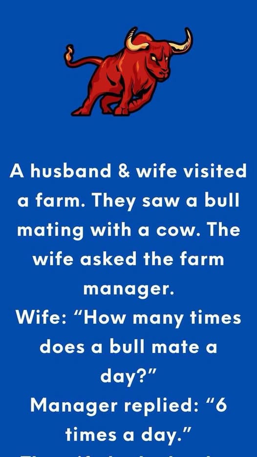 The Powerful Bull