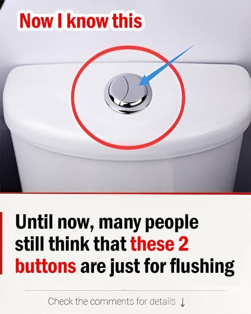 Many individuals still believe that these two buttons are only for flushing.