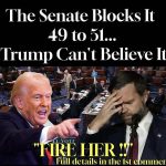 Senate Passes $9 Billion Budget Rollback as Focus on Government Efficiency Grows