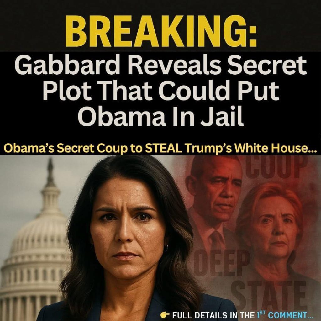 BREAKING, Gabbard Unleashes Evidence of Obamas Secret Coup to STEAL Trump’s White House