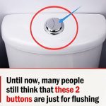 Some People Still Think These Two Buttons Are Only For Flushing