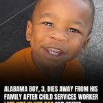 Tragedy In Alabama: Toddler Dies In Hot Car Under State Care