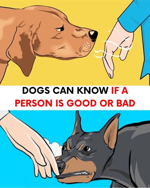 Dogs can recognize a bad person and there’s science to prove it