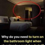 This is why you should keep the bathroom light on when sleeping in a hotel