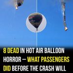Horrific hot air balloon accident leaves eight dead