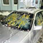 MY NEIGHBOR THREW EGGS AT MY CAR BECAUSE IT “BLOCKED THE VIEW”