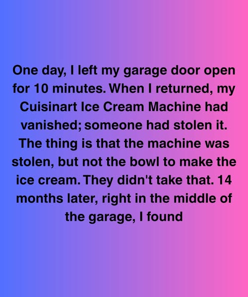 The Ice Cream Thief Came Back… But Not For What I Expected