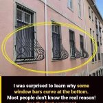 If you see window grills with a curve at the bottom here’s what it means