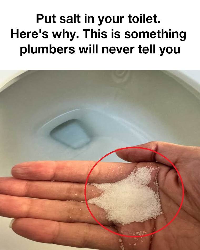 Put salt in your toilet. Here’s why. – Wake Up Your Mind