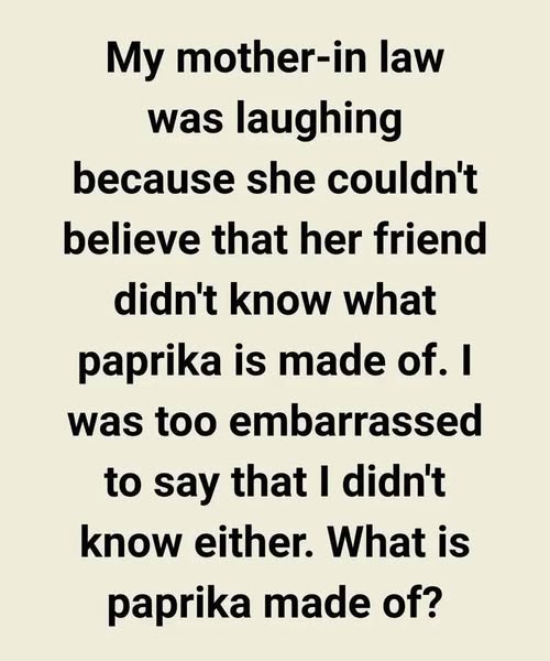 MY MOTHER-IN-LAW’S LAUGHTER UNCOVERED A SECRET I NEVER SAW COMING