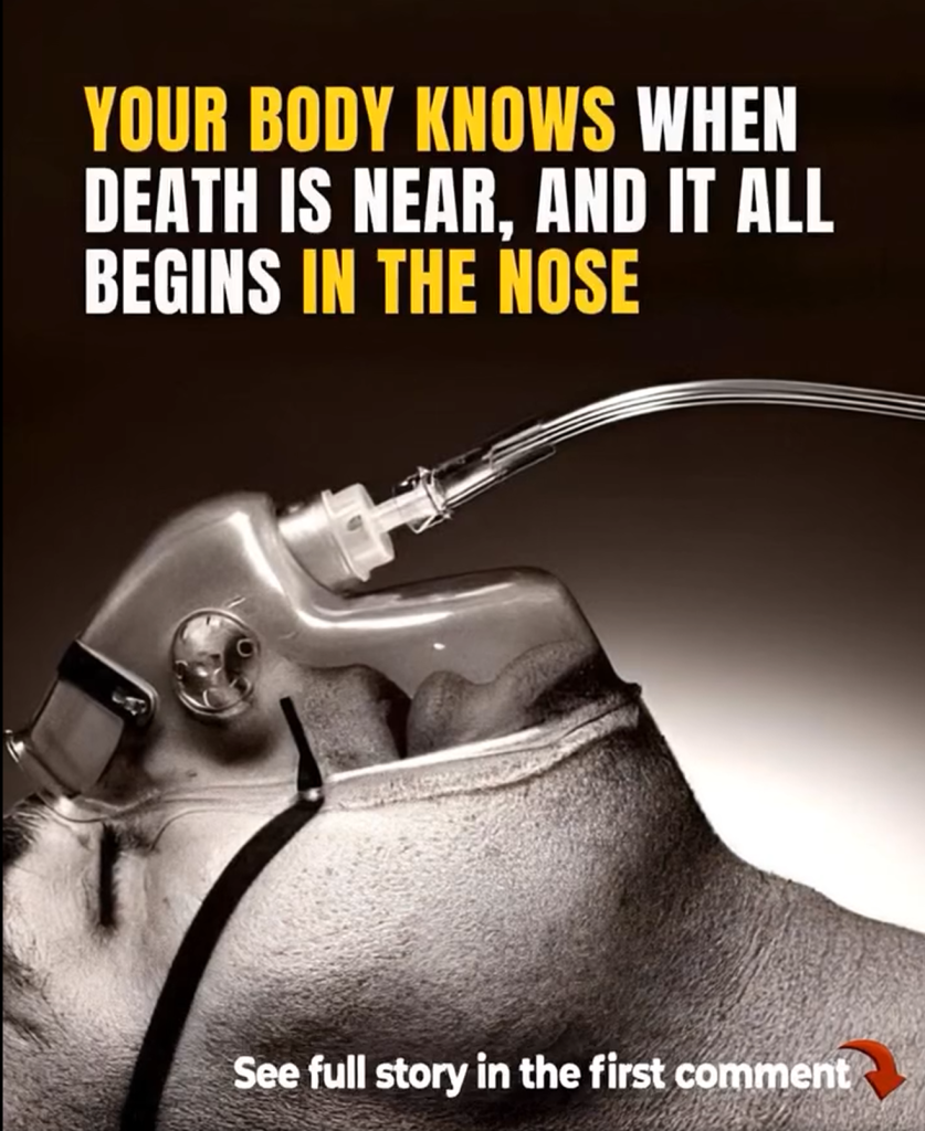A Study Reveals: Your Body Knows When Death Is Near, And It All Begins In The Nose