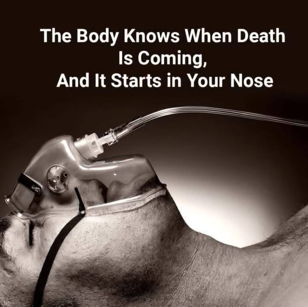 What Happens to the Body Just Before Death—It Starts with the Nose